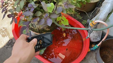 鑳藉埛鎶栭煶鑳藉井淇＄殑鑰佸勾鏅鸿兘鎵嬫満,鑰佸勾缈荤洊鎵嬫満鑳藉埛鎶栭煶鑳界帺寰俊