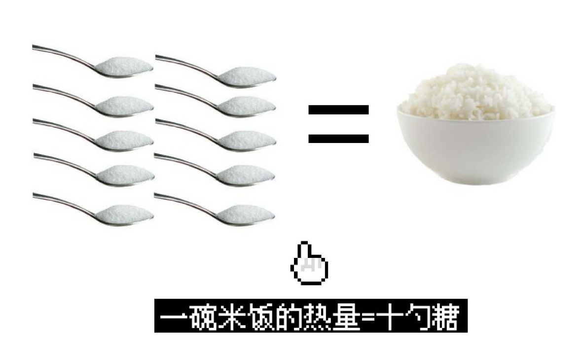 十大建议买的电饭锅有哪些,选择电饭锅避坑指南