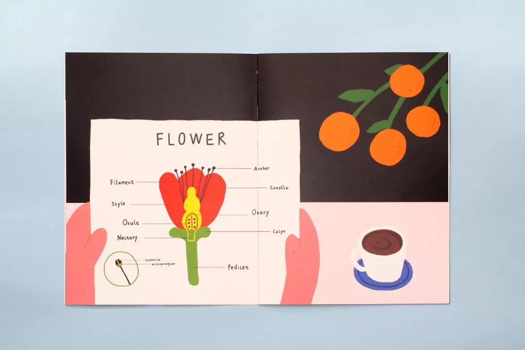 急需招聘有经验的花艺师,花艺师招聘信息平台