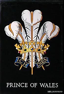 英国王室叶子胸针,威尔士胸针