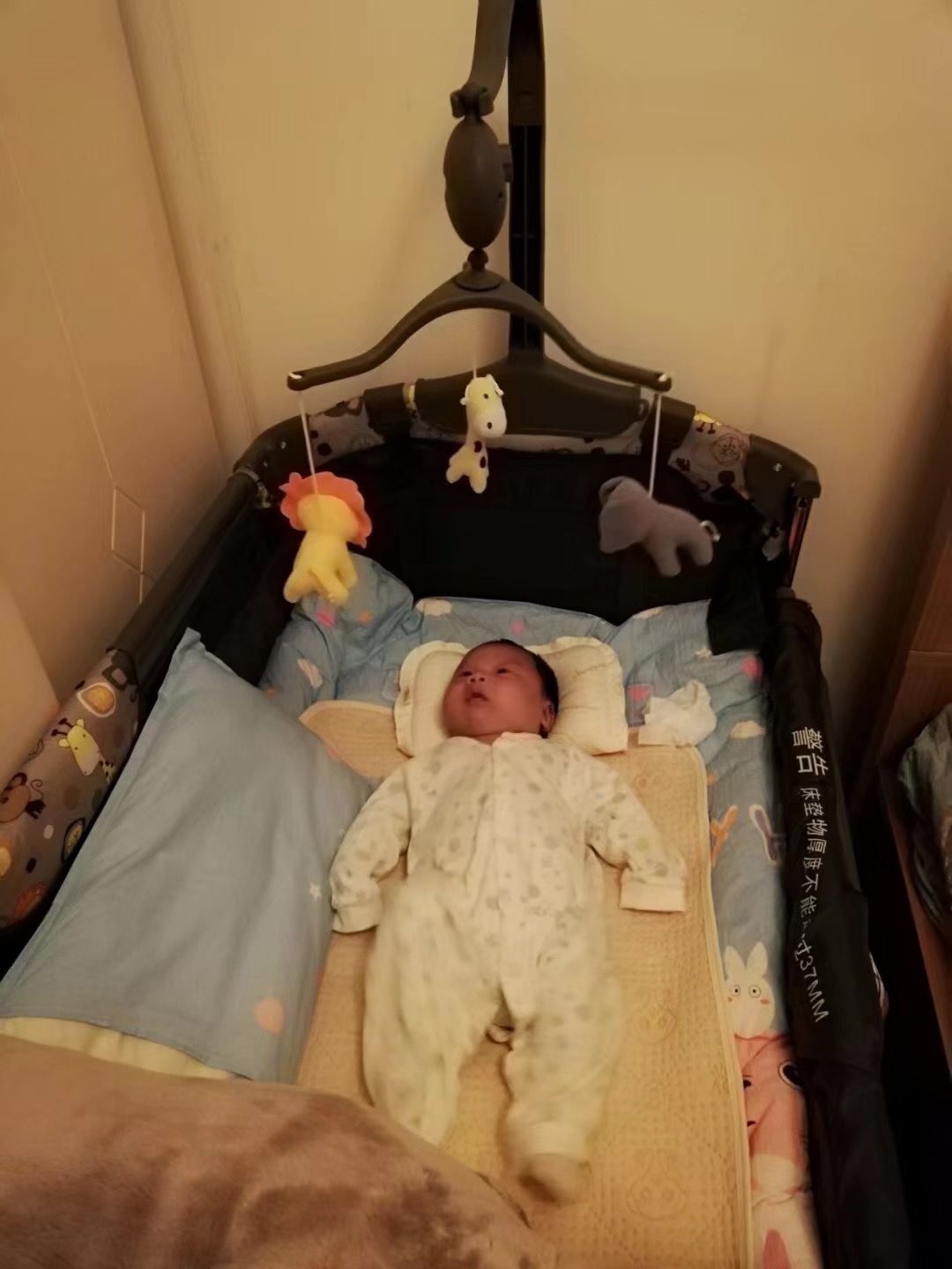 3个月怎么训练宝宝追视能力,十个月宝宝认知能力训练方法