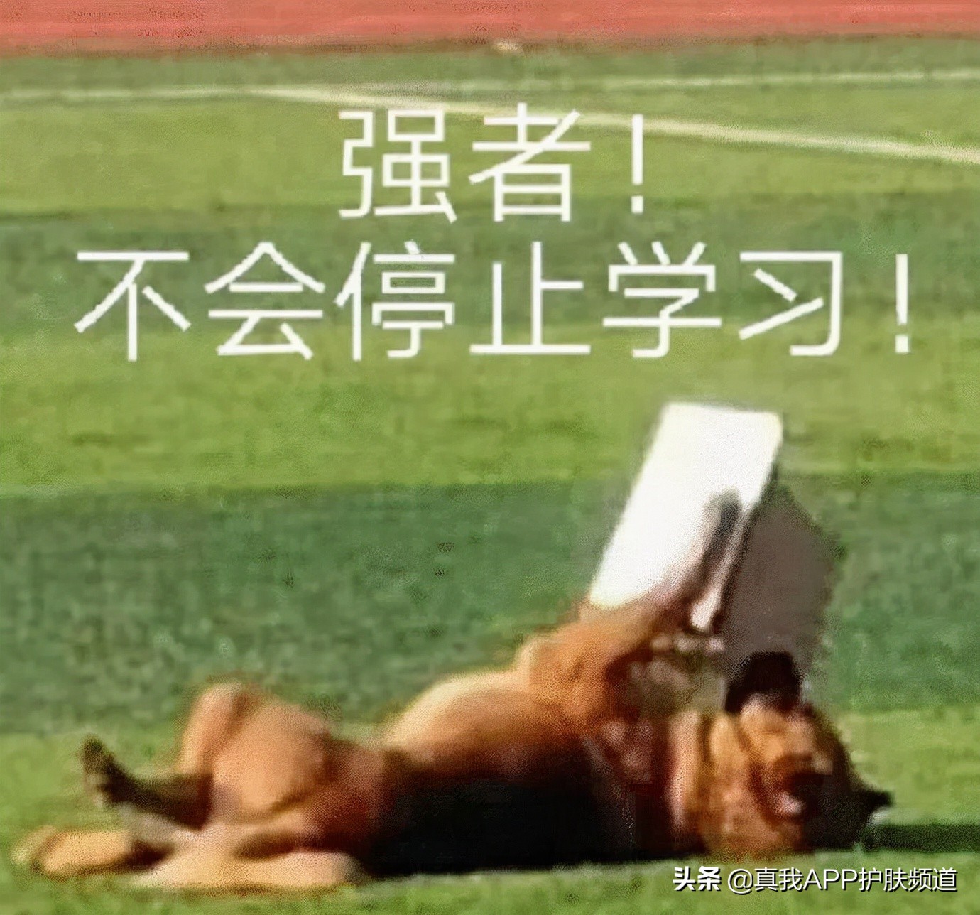 敏感肌肤满脸闭口可以刷酸吗,脸上好多闭口粉刺很敏感怎么办