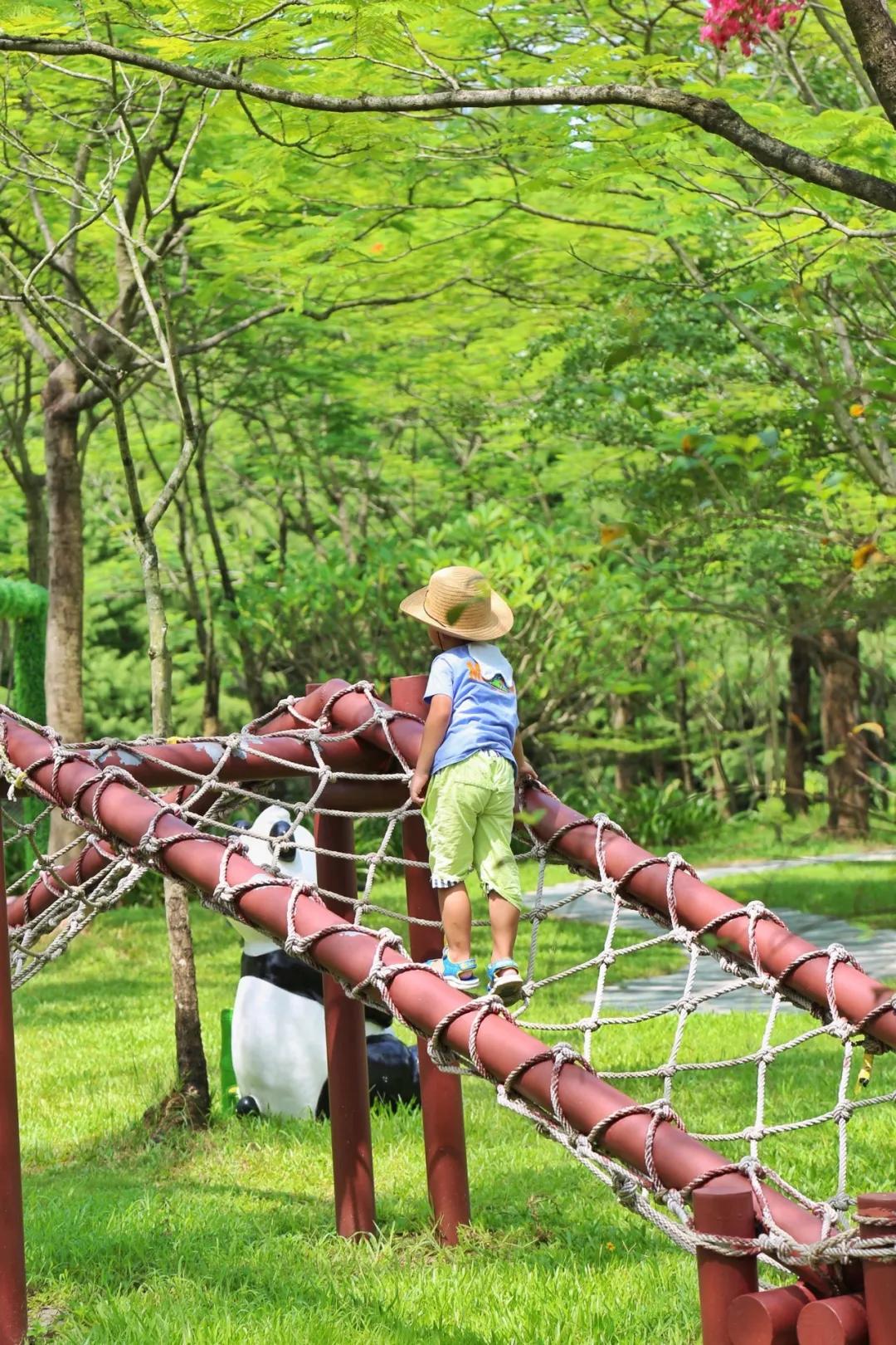 广东清远佛冈旅游攻略,广东清远佛冈森波拉旅游
