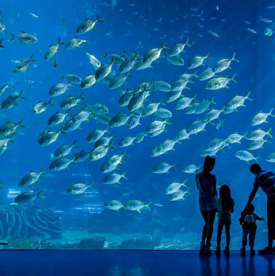 珠海长隆六月游玩攻略,春节去珠海长隆海洋王国好玩吗