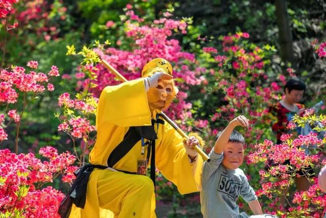 西泰山是什么样的,西泰山为啥叫西泰山