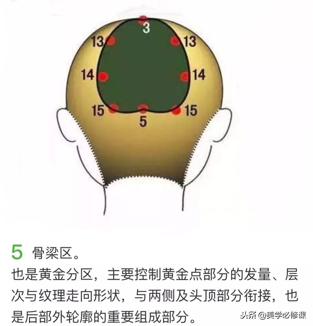 美发基础知识点线面分区手法,美发教学基本功头发分区