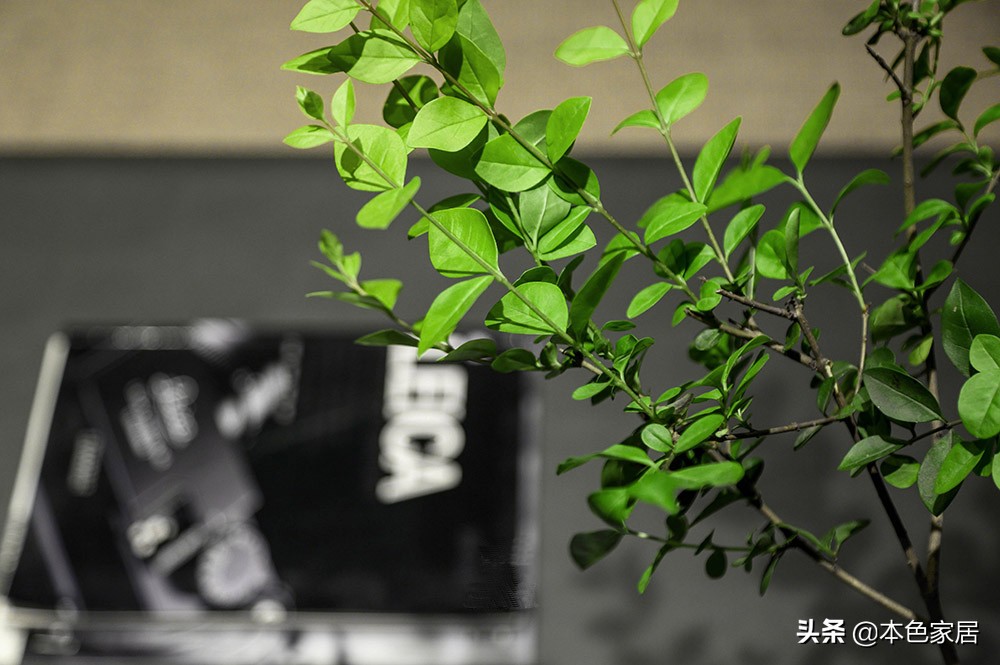 这才是真正的新中式装修,这才是真正的客厅