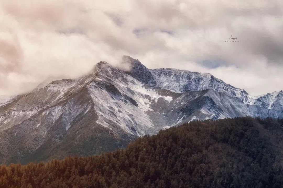 一日游重庆火锅去哪吃,旅行火锅吃法大全