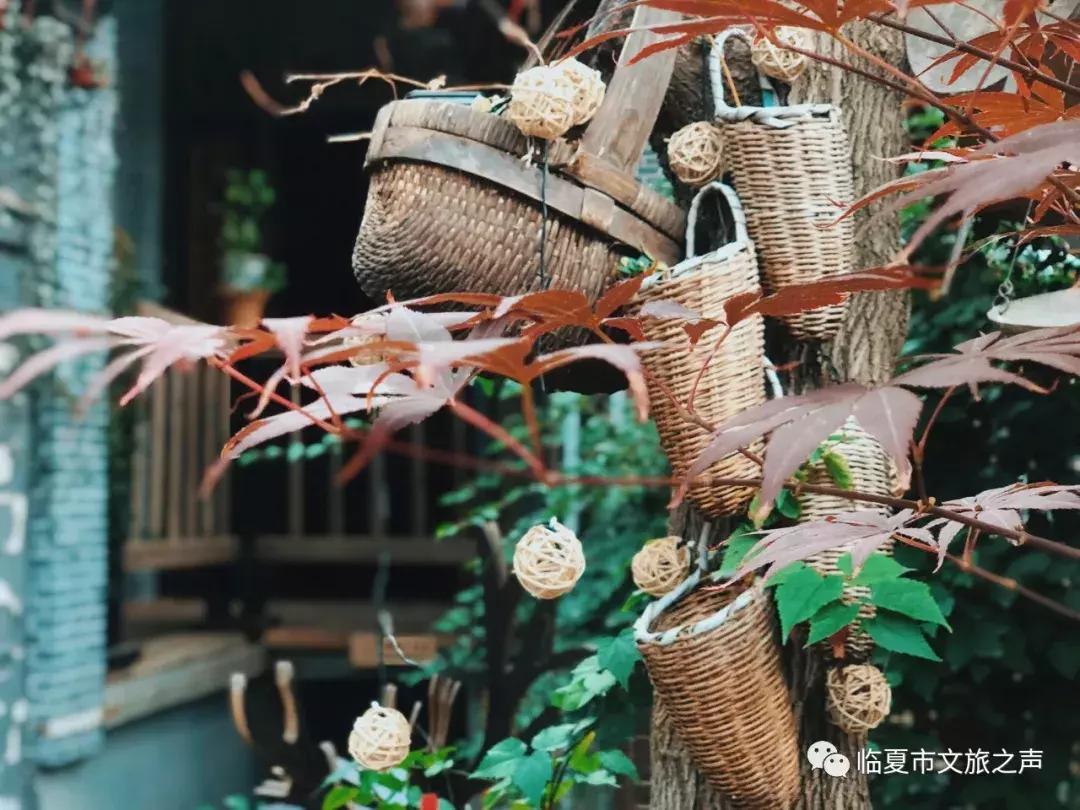 官宣：一带一路十余国青少年体育健儿，向您发来挑战书和邀请函。