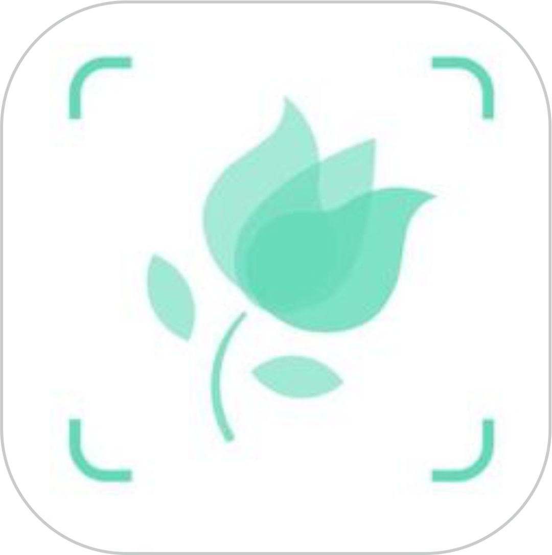 老师最喜欢的教学软件,老师用什么教学软件好