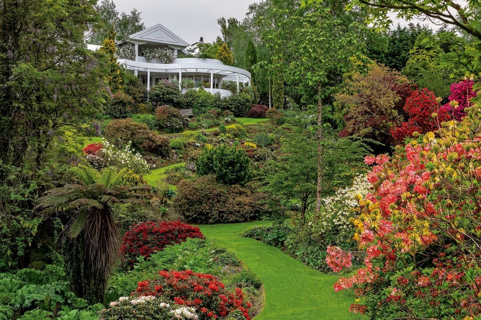 在新西兰奥克兰生活,在新西兰生活的优势