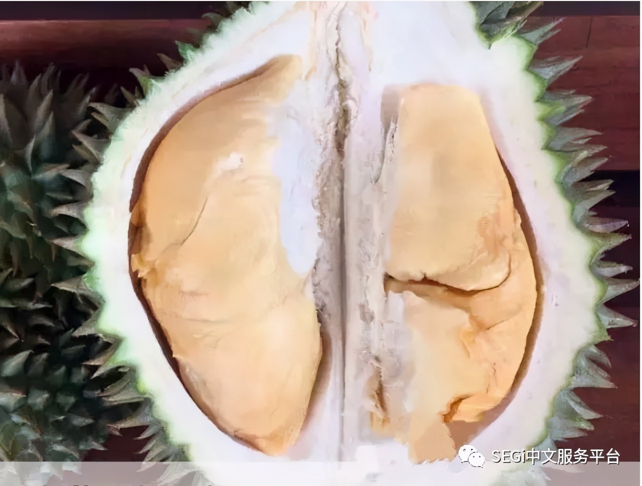 马来西亚的榴莲有啥品种,马来西亚榴莲有几种