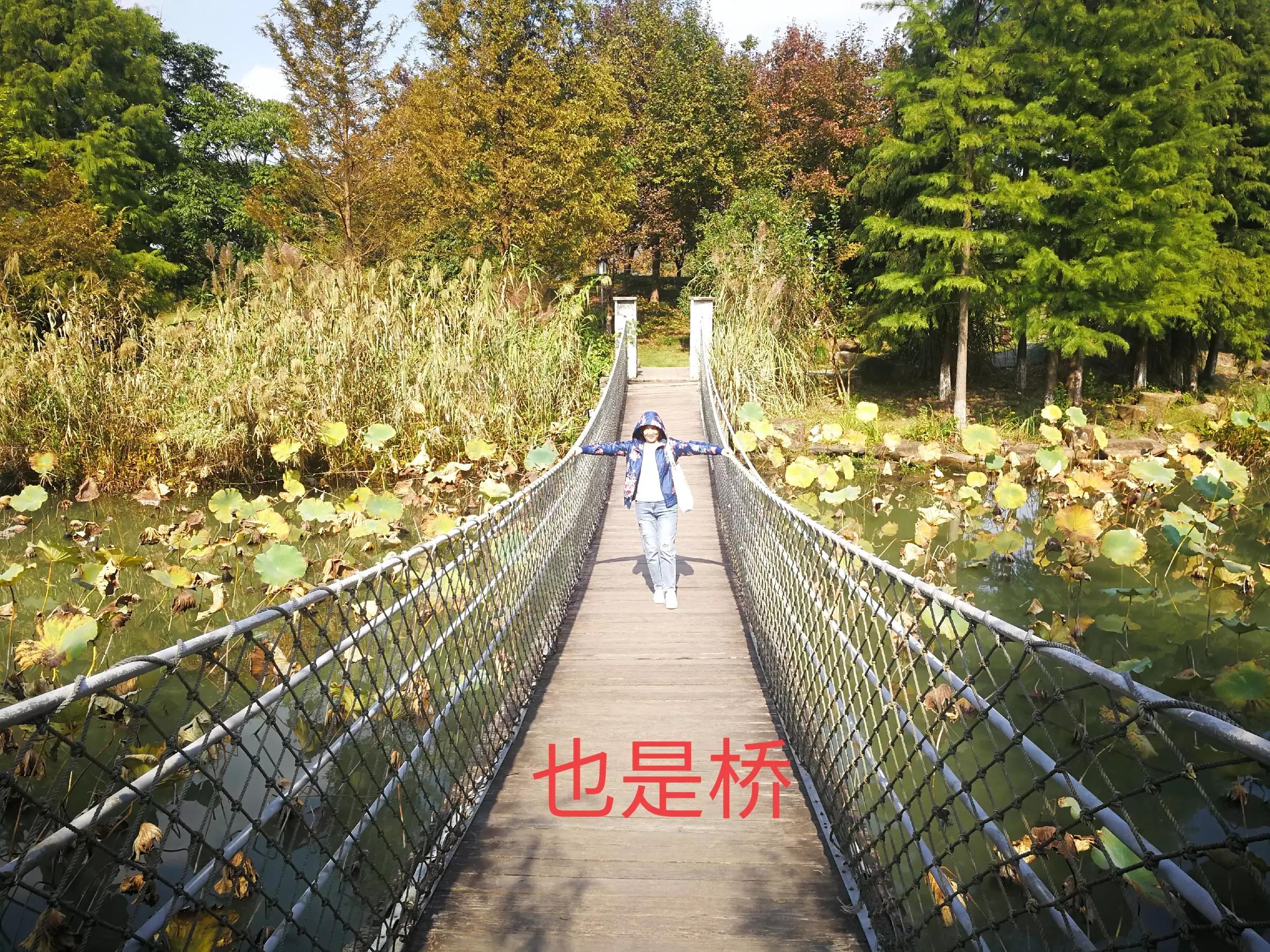 杭州湘湖一个幽静美丽的地方,带大家来看杭州湘湖风景美不美