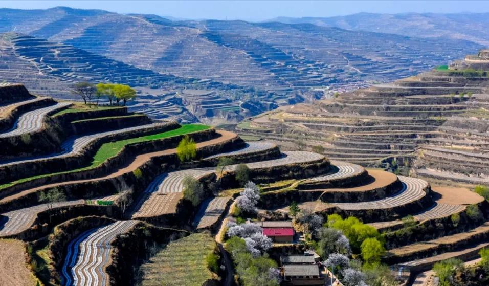 梯田绘本故事,梯田背景故事