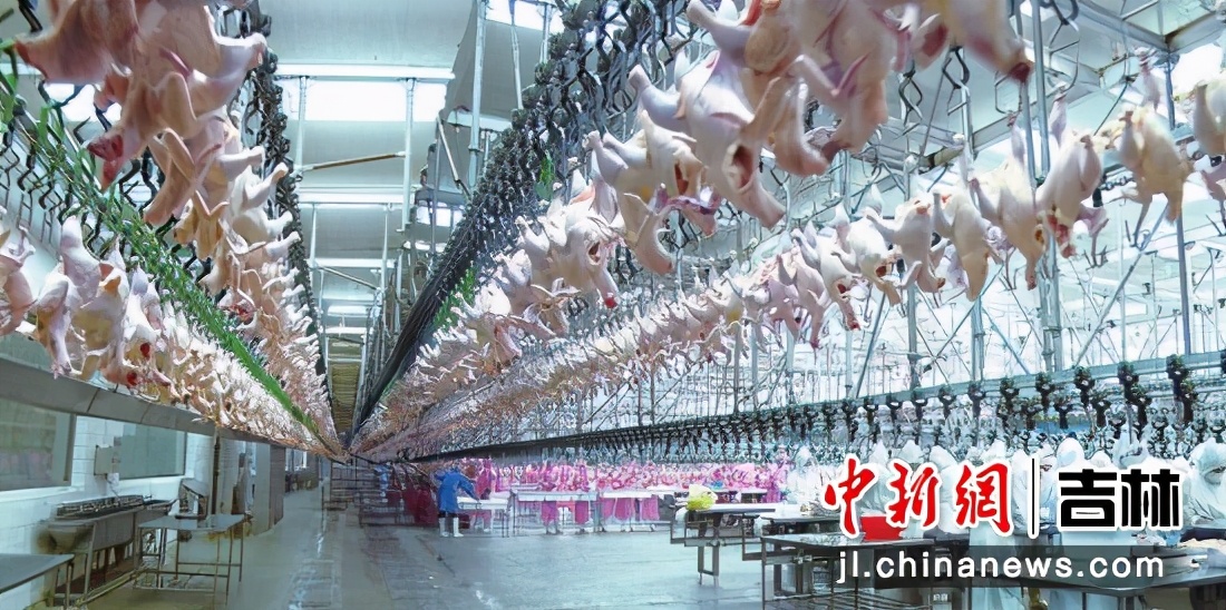 吉林省德惠市近几年发展,吉林德惠最新规划