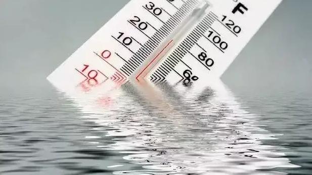 鱼类水霉病,春季鱼类水霉病症状