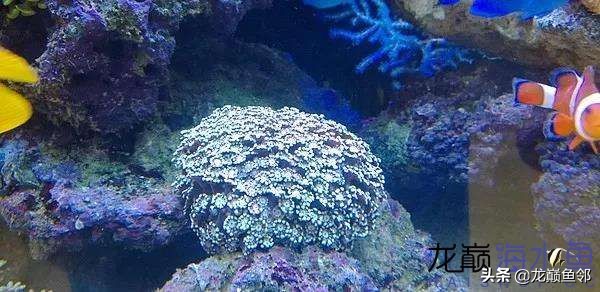 说出来都是泪！只有新下海的人才能体会这种痛，简直是全军覆灭