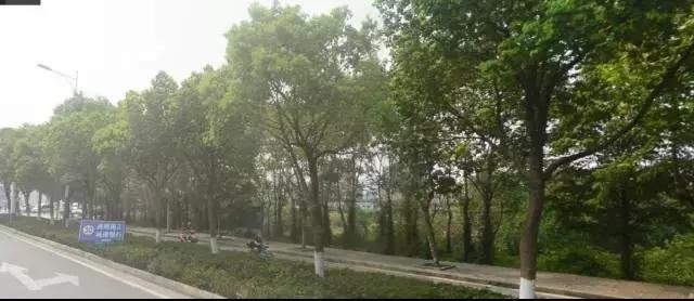 芜湖5路公交车最新路线和时间,芜湖公交记忆