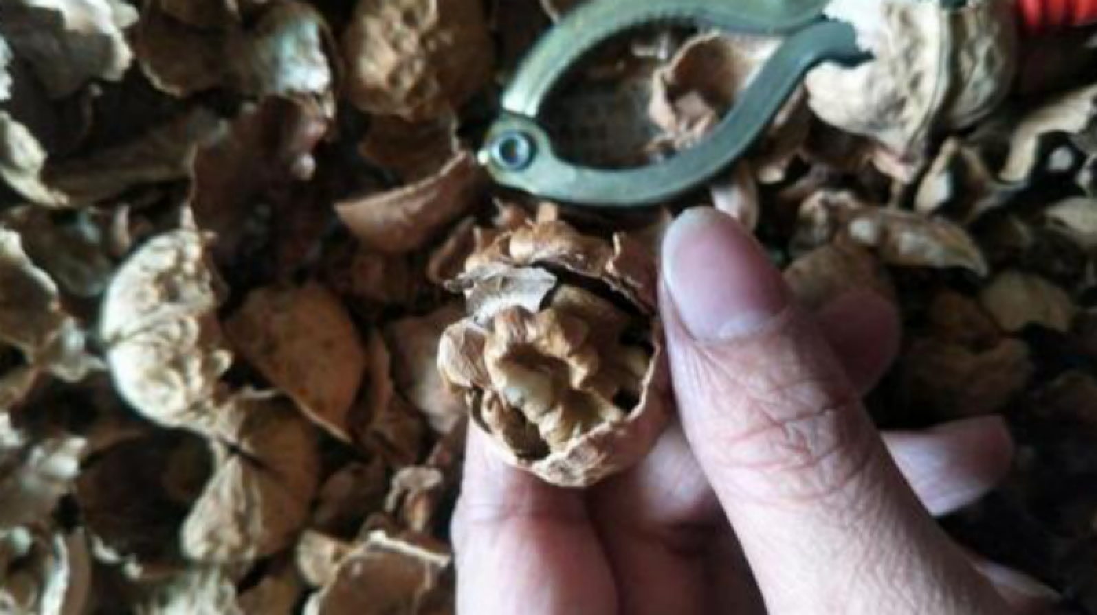 生核桃吃起来有点苦,生核桃的吃法推荐五种常见吃法