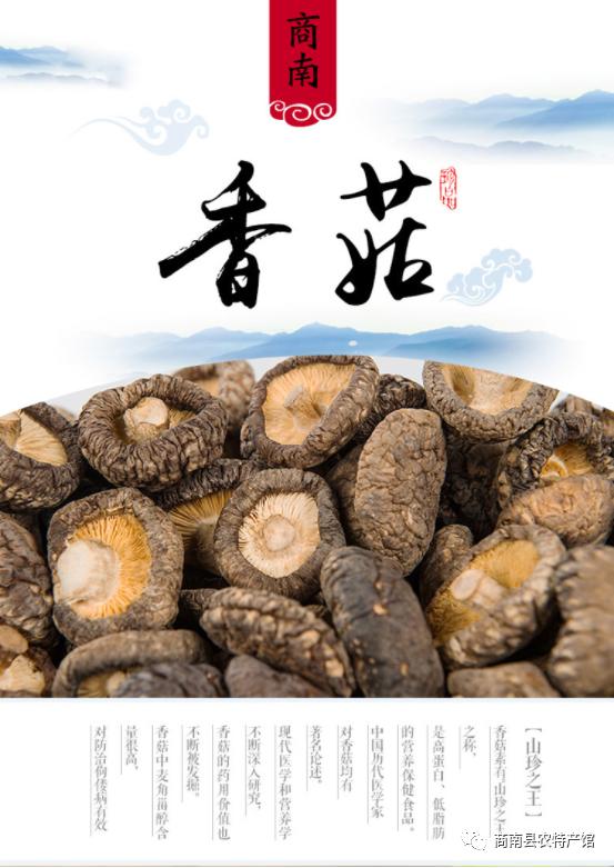 商南土特产及中药材有哪些,商南过风楼香菇基地