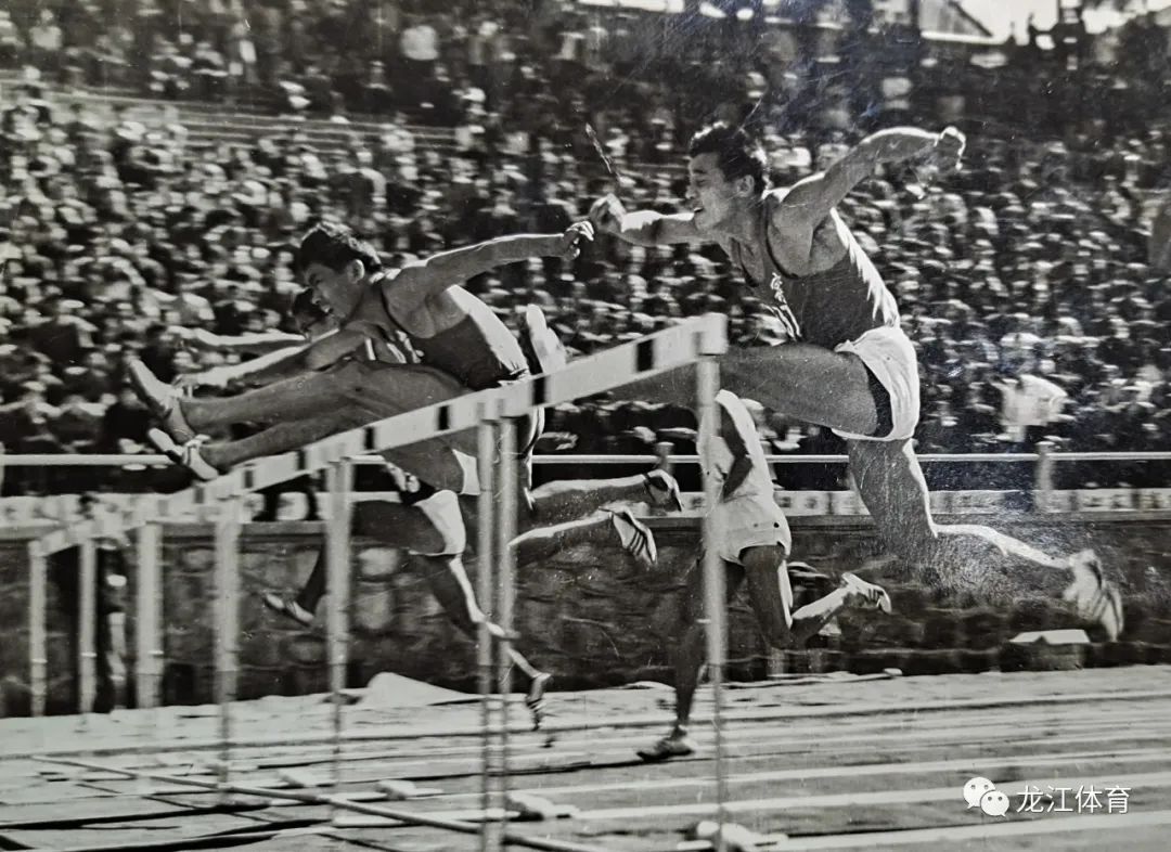 刘振坤,刘振坤洛克王国