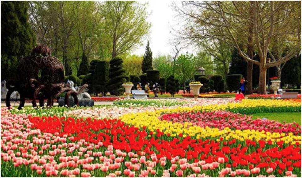 北京丰台五一旅游最佳去处,丰台区赏花景点