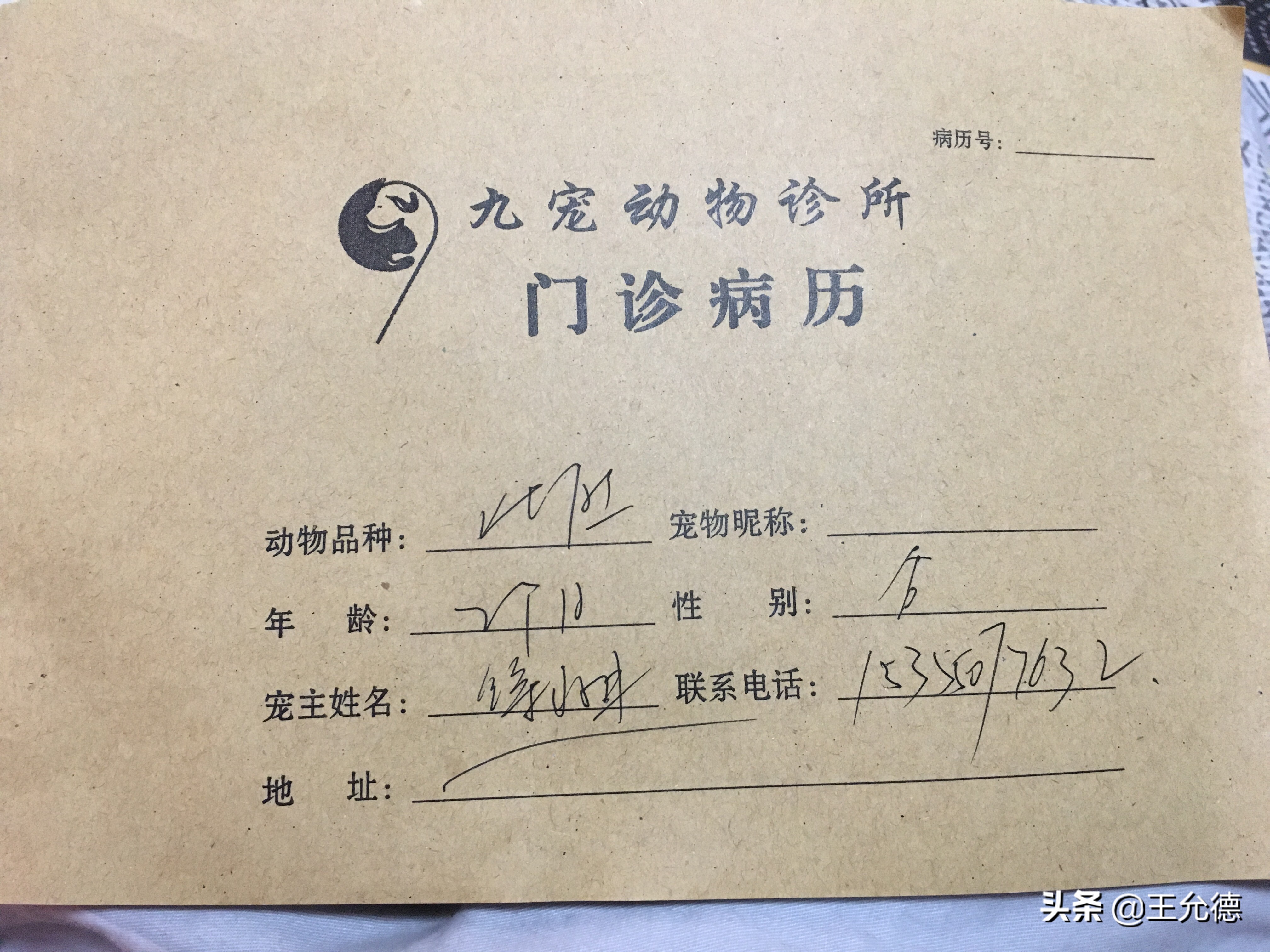 闲鱼买狗上门自提骗局,闲鱼上买狗的骗局