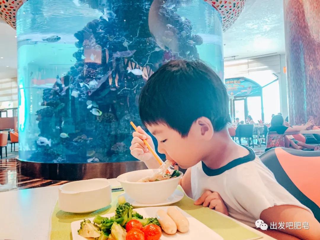 玩转珠海长隆全攻略,玩转珠海长隆海洋王国全攻略