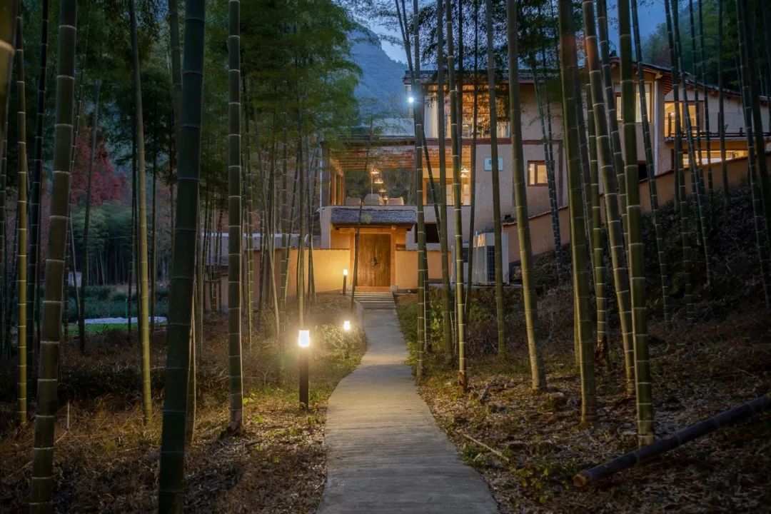 最美的民宿隐藏在森林云海,观光玻璃栈道民宿