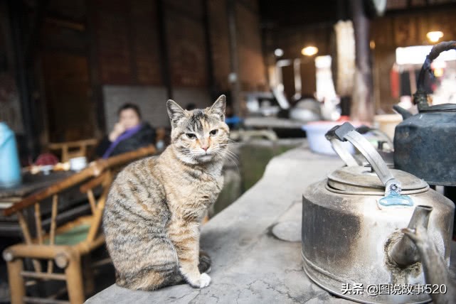 成都古镇老茶馆,成都十大老茶馆