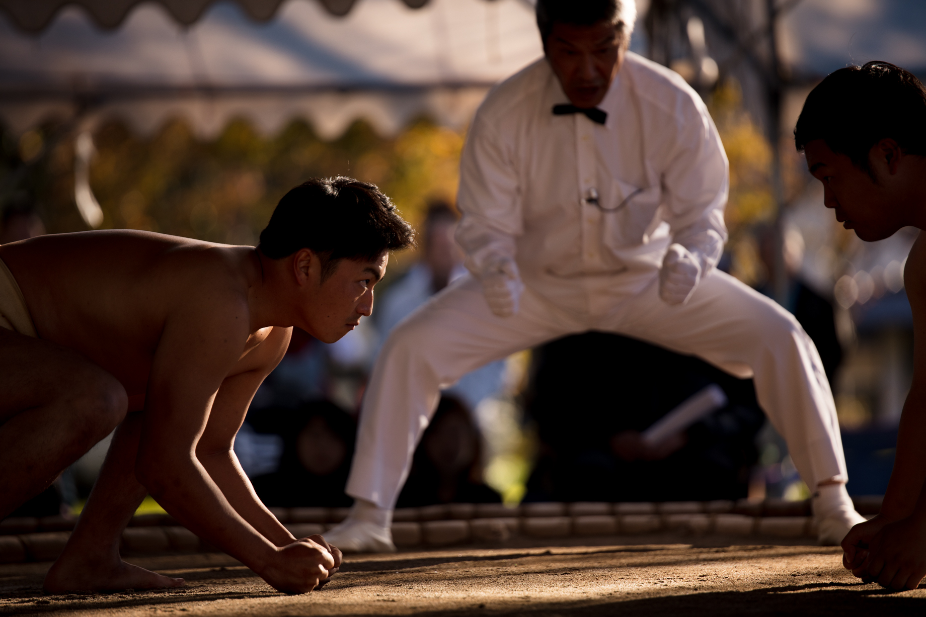 价格便宜的媲美大三元的镜头,大三元镜头谁值得购买