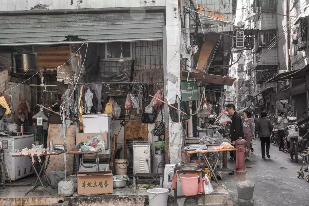 白石洲消失的原因,白石洲今日消息