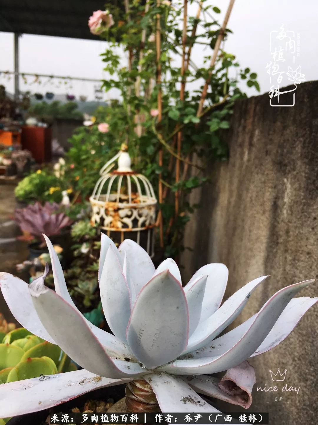 听到秋天的声音,听到了秋天的声音