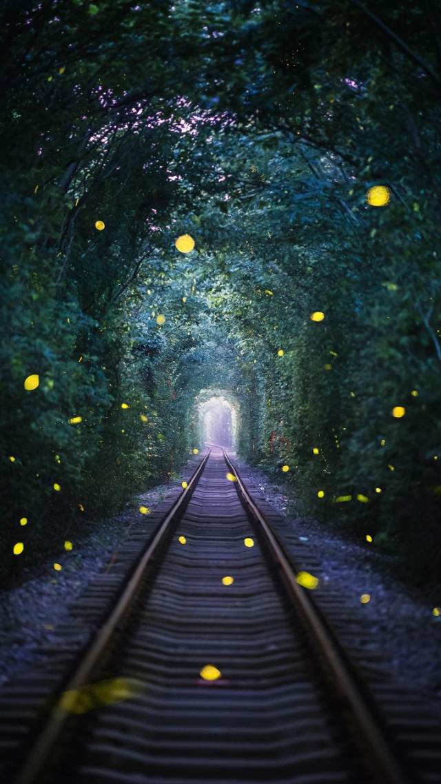 辰东新书吐槽,辰东唐家三少网文界地位