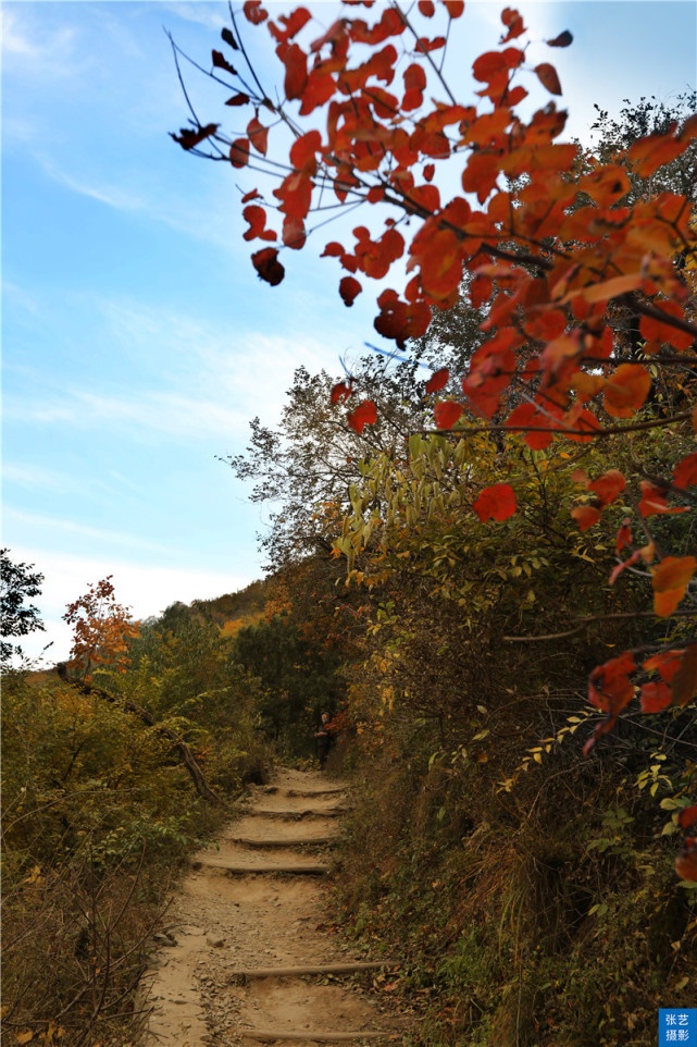 北京香山红叶林观看最佳月份,北京香山红叶最佳观赏期是在几月