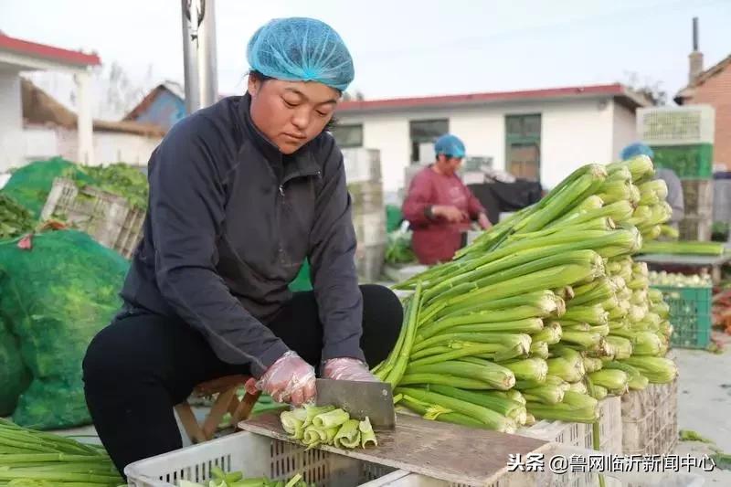挣钱、顾家两不误！临沂临港区：居家妇女灵活就业助增收
