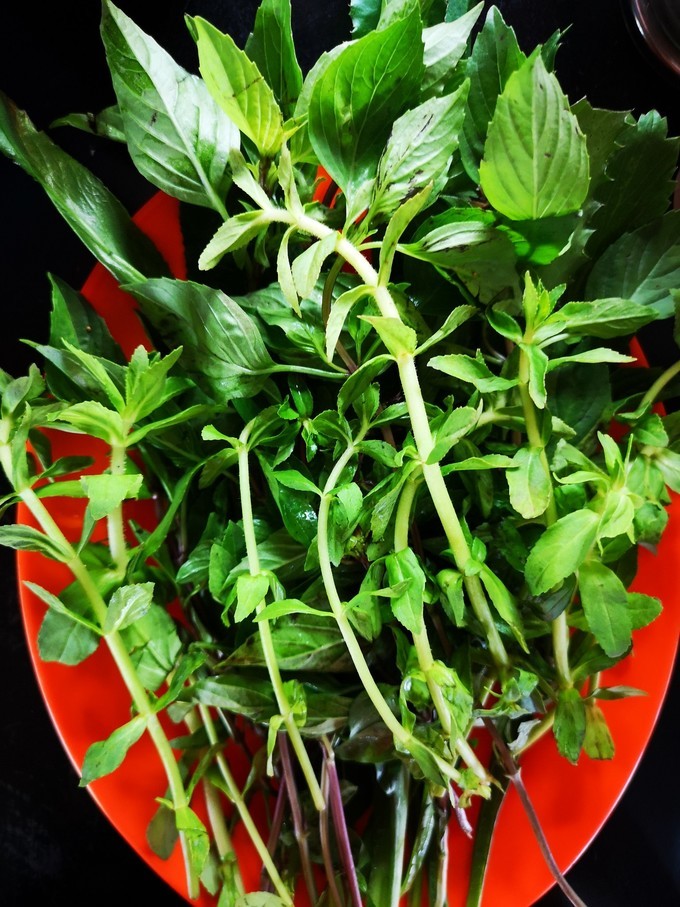 柬埔寨暹粒市旅游攻略,旅游柬埔寨必读完整攻略指南