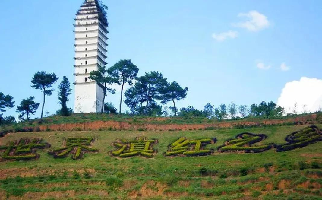 云南凤庆滇红茶哪家正宗,云南凤庆县滇红茶什么时候出