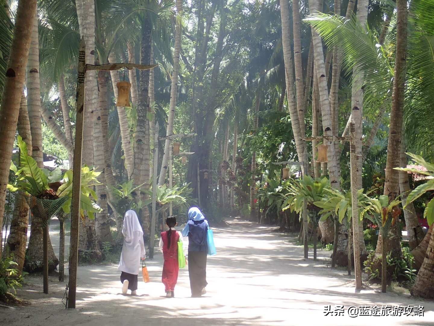 去沙巴是自由行还是跟团好 (沙巴跟团游玩攻略)