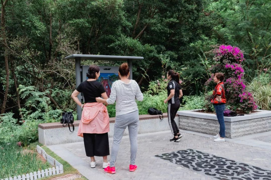 又发现深圳一个“绝美打卡地”!“淘金”绿道,人少免费