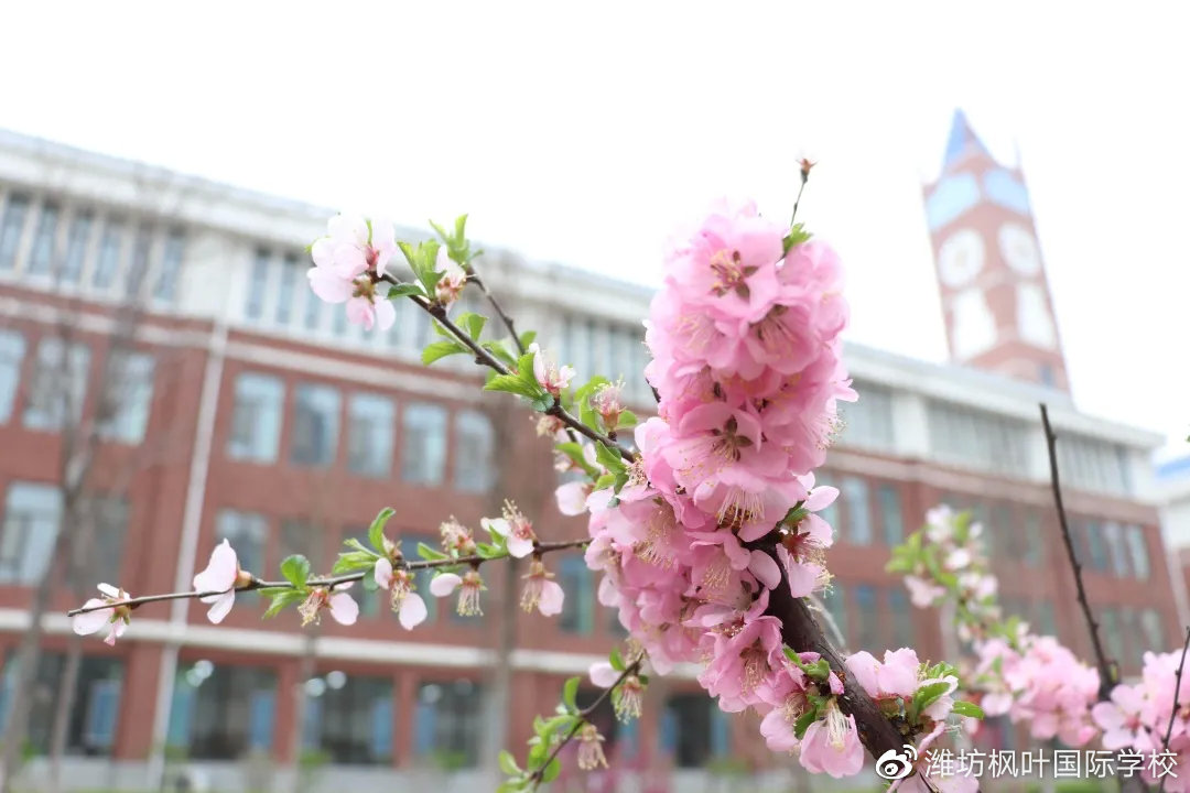 校长关于教育的讲话主题,校长关心的话题