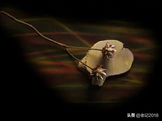 淮南子30名句,淮南子精华30句越读越有味道