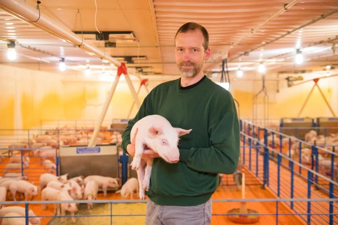 为什么中国每年从美国大量进口肉,为什么中国进口俄罗斯大增