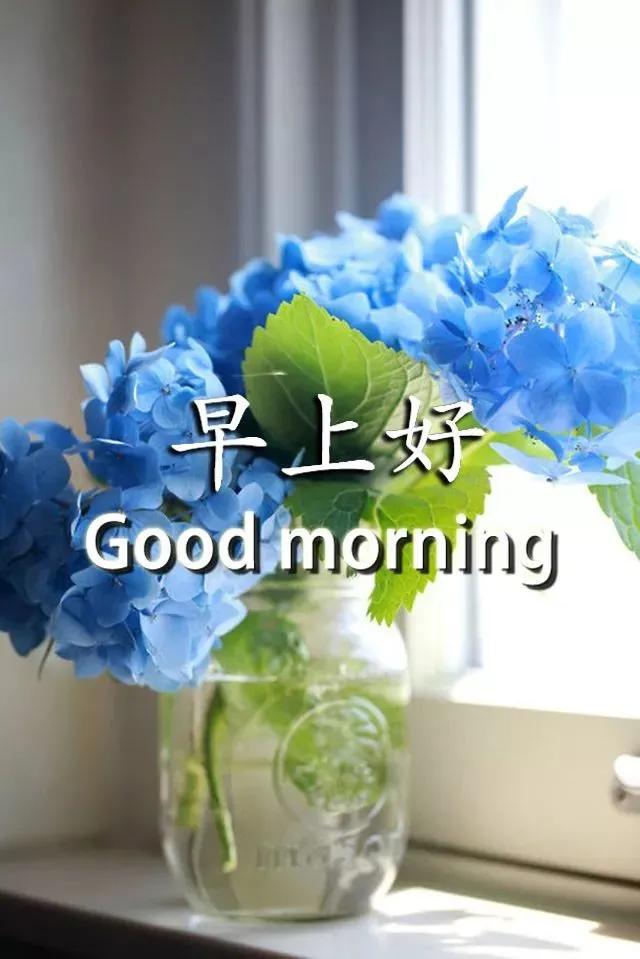 人生若只如初见早安,心语人生若如初见