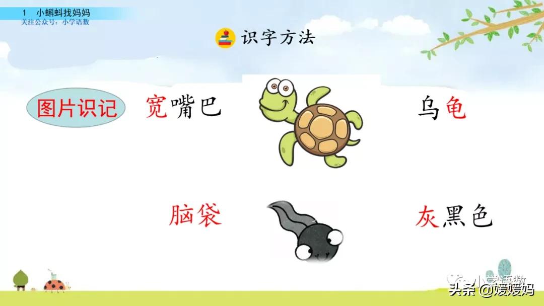 二年级上册小蝌蚪找妈妈听写词语,朗读二年级上册语文小蝌蚪找妈妈