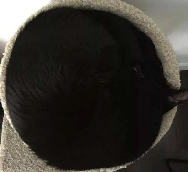 黑猫是不吉利的象征吗,黑猫代表着不祥可老人偏偏不信