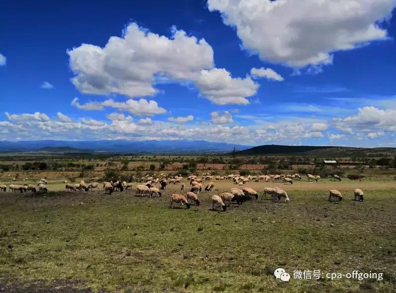 这个野奢的国度,欧美、日韩人都爱去,为何我们国家没人去?