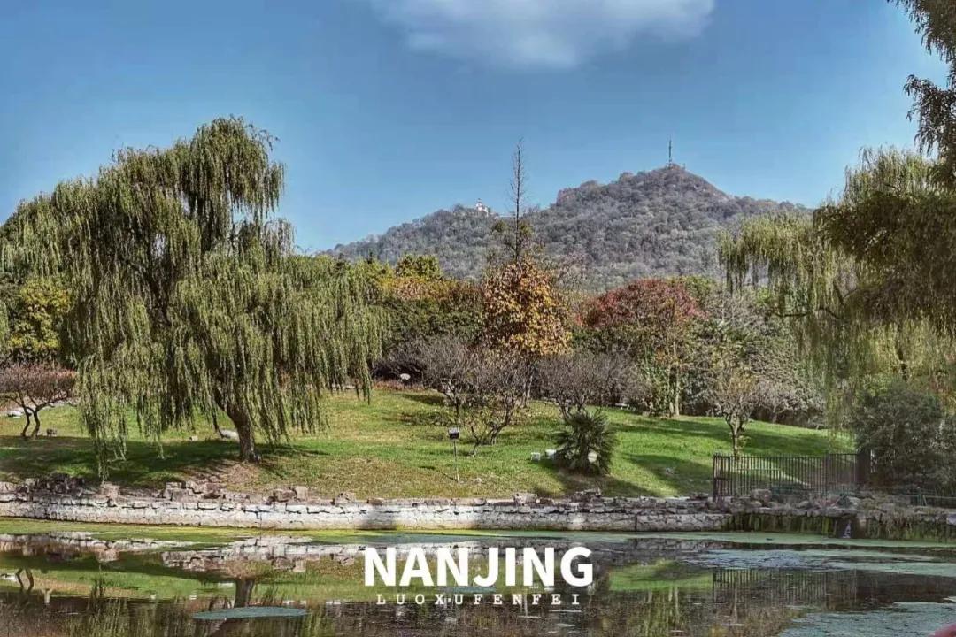 玩完南京去哪里玩景点推荐,南京钟山风景区秋天一日游攻略