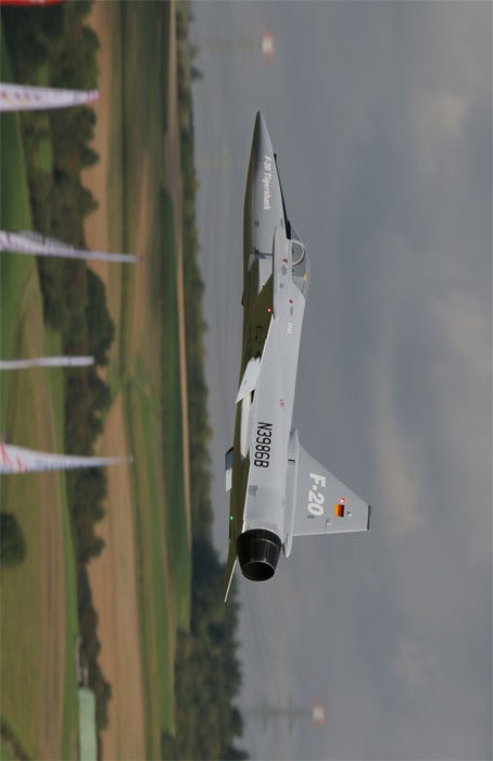 虎鲨悲剧,极富悲剧色彩的虎鲸