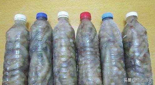 大虾保鲜别直接放冰箱了,大虾放冰箱保鲜方法